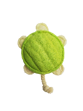 Picture of Organic Vegetable Dental Toy - Turtle Loofah