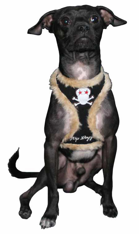 Picture of Black Fur Skull Harness Vest.