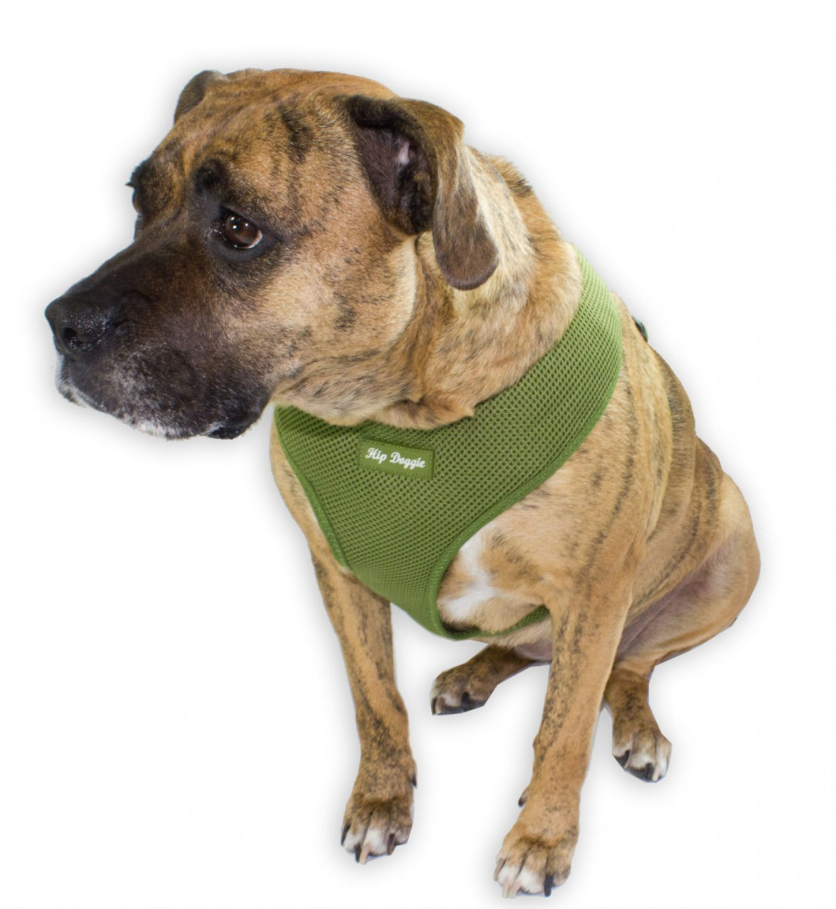 Picture of OLD STYLE - Ultra Comfort Olive Green Mesh Harness Vest