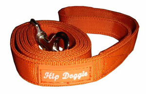 Picture of Webbed Leash - Orange