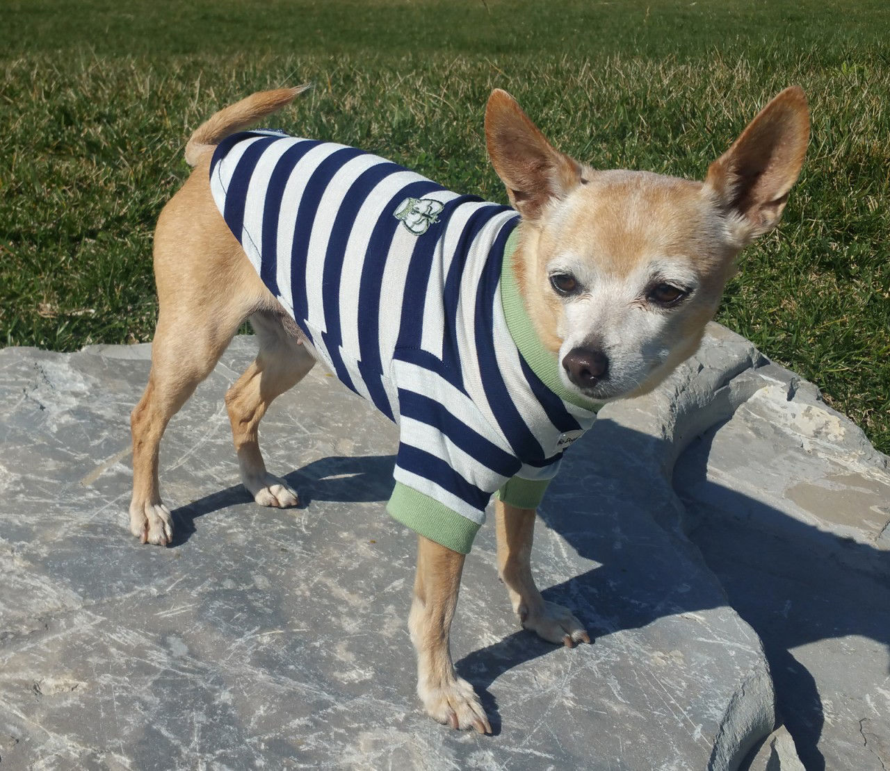 Picture of Crown Striped Tee