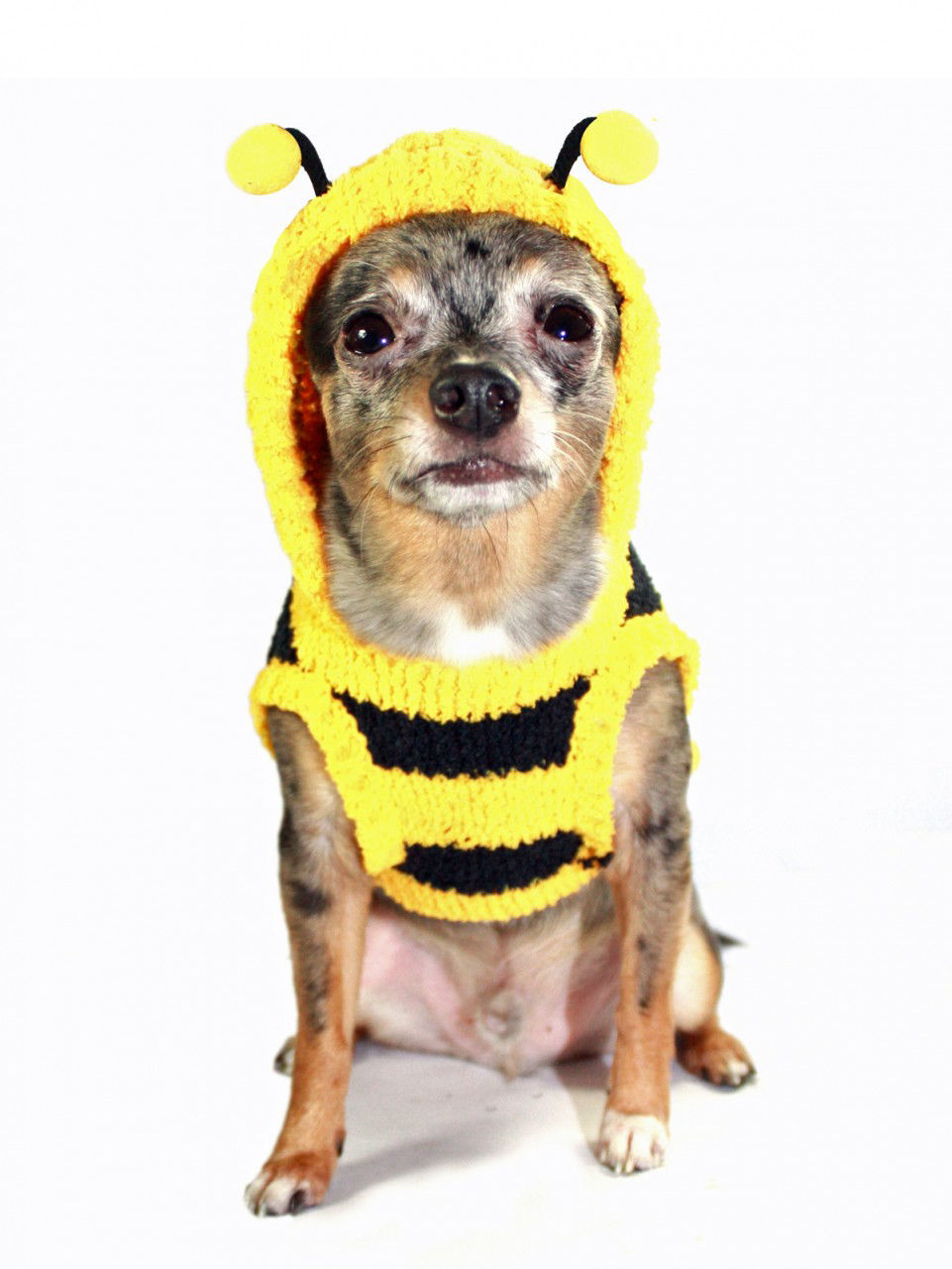 Picture of Chenille Bumble Bee Hoodie