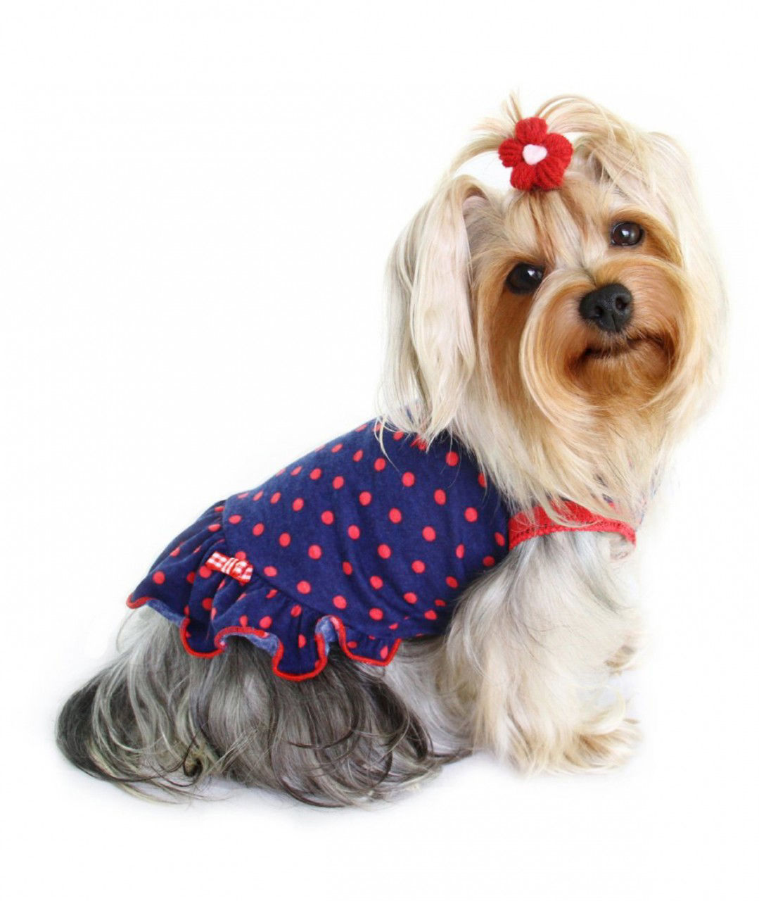 Picture of Betty Polka Dot Dress.