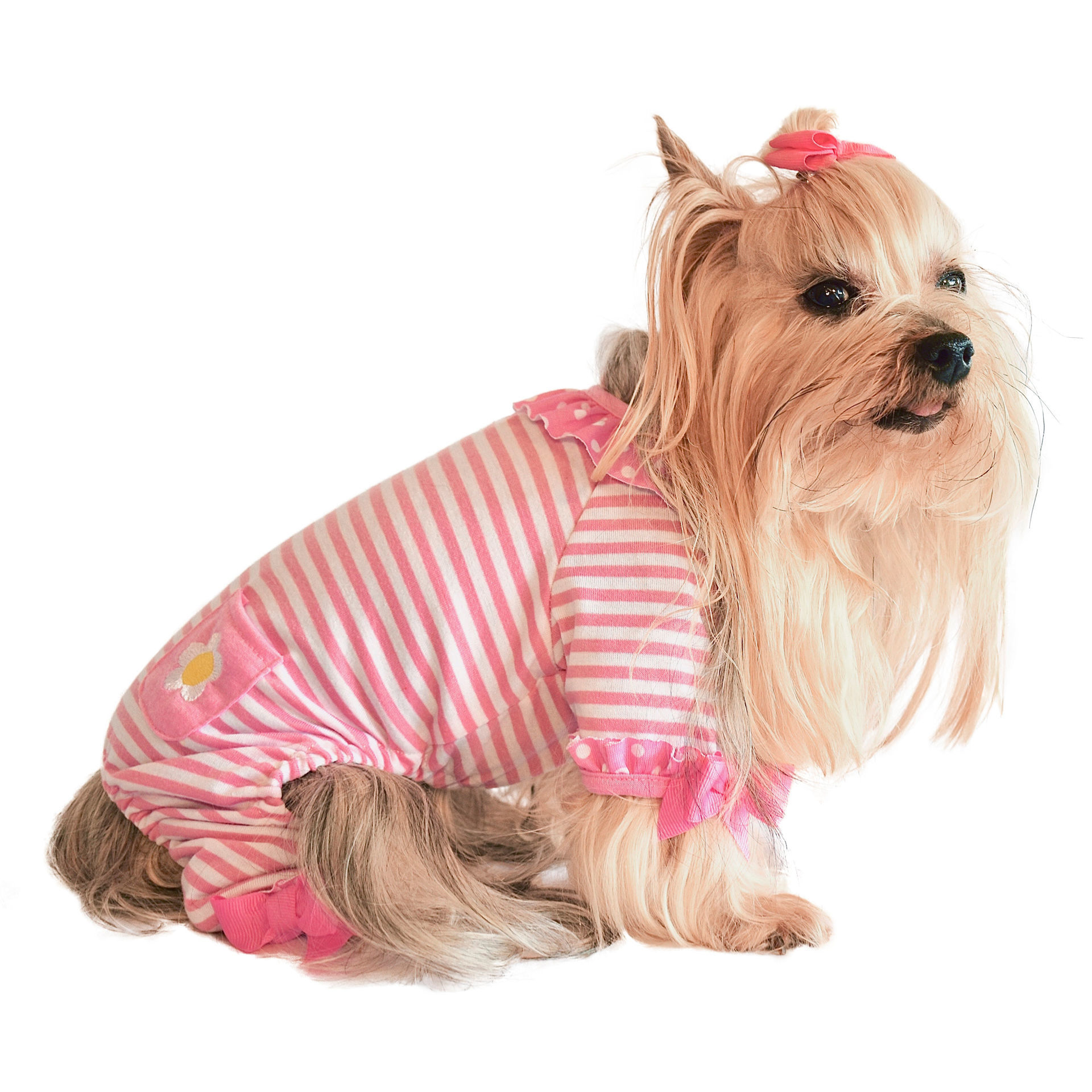 Picture of Stripe Daisy Jammies