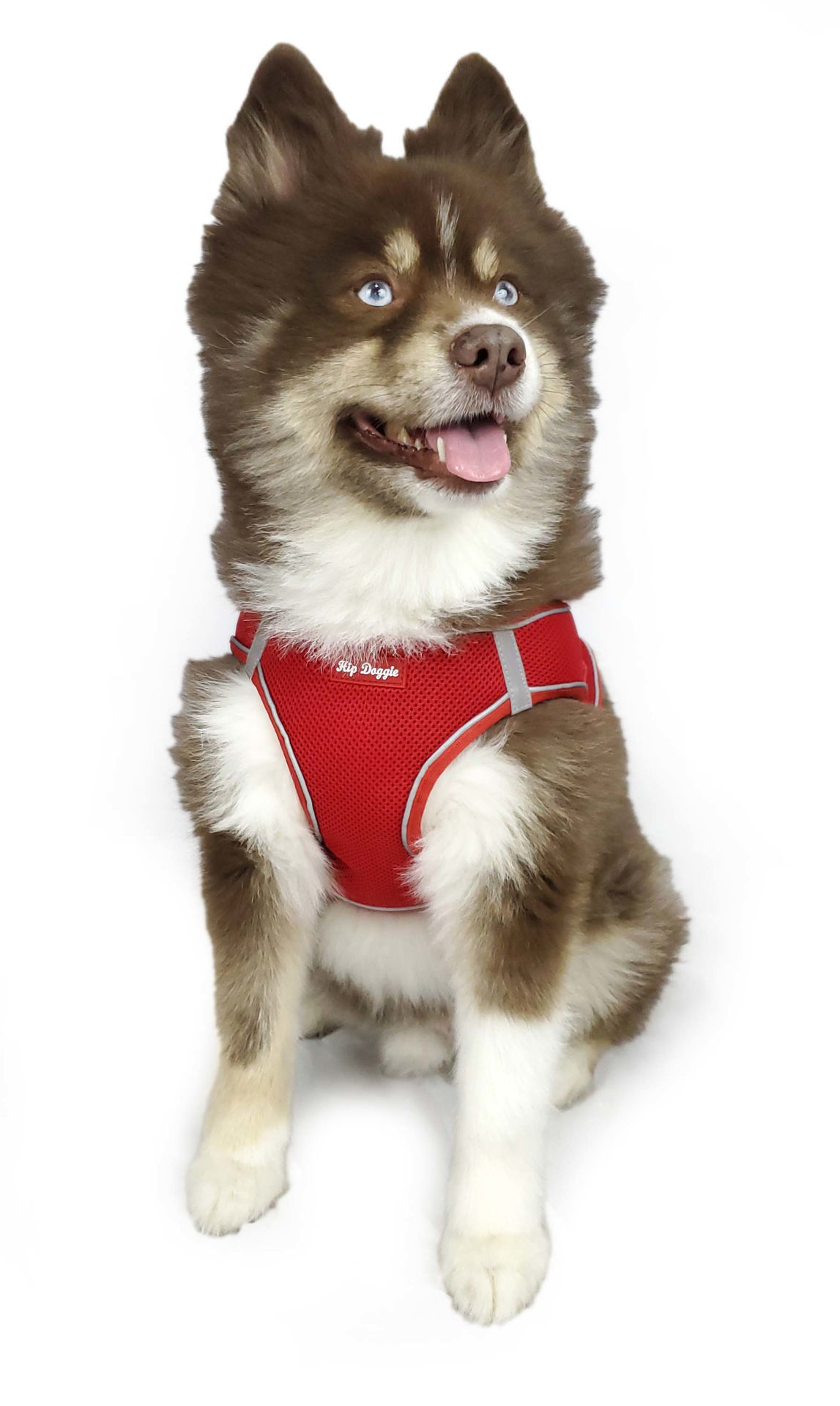 Picture of EZ Step-In Harness Vest - Red