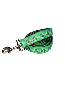 Picture of Leash  1" X 5' - Shamrock