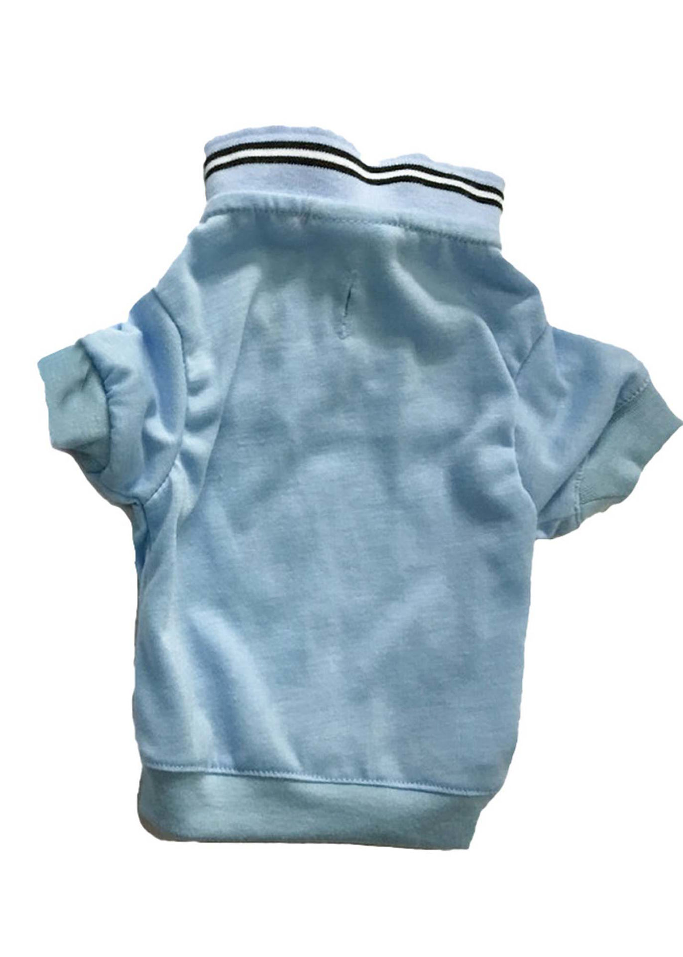 Picture of Light Blue Polo Shirt