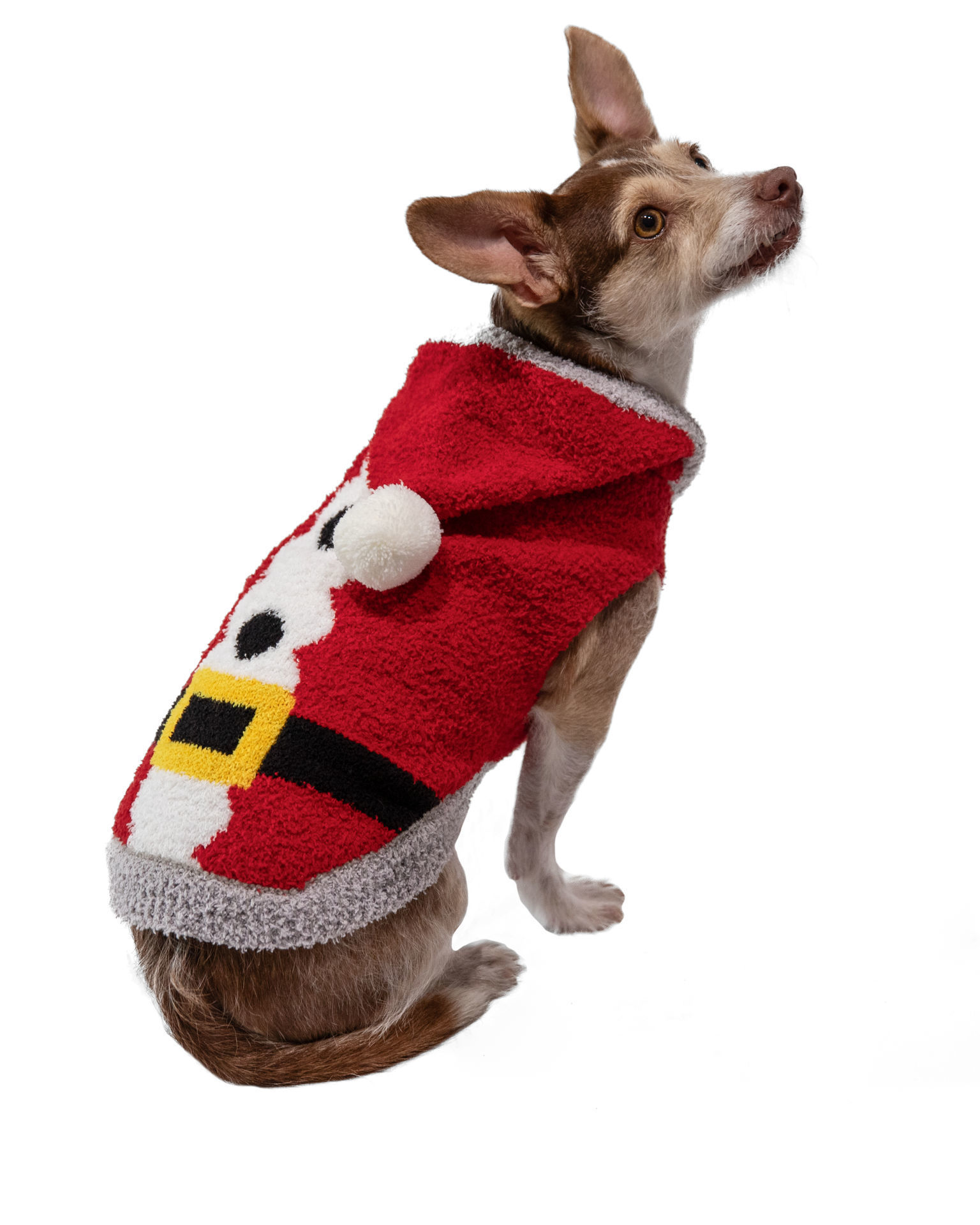 Picture of Chenille Santa Hoodie