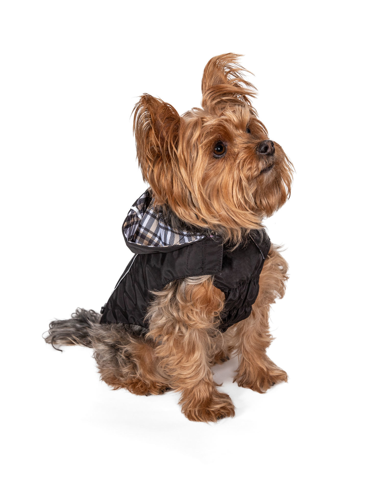 Picture of HD Reversible Raincoat Black/Tan Plaid