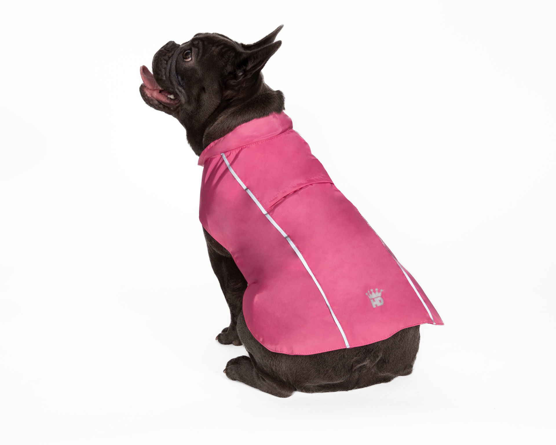 Picture of HD Hoodless Raincoat - Pink