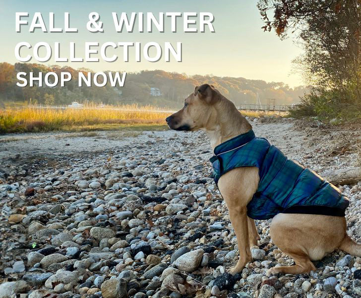 Designer Bum Bags For Dogs - Hype Pups, Pet Boutique