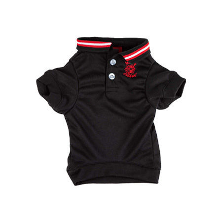 Picture of Black Polo Shirt