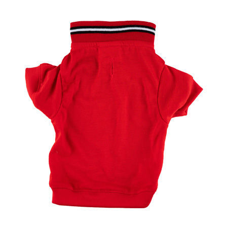 Picture of Red Polo Shirt