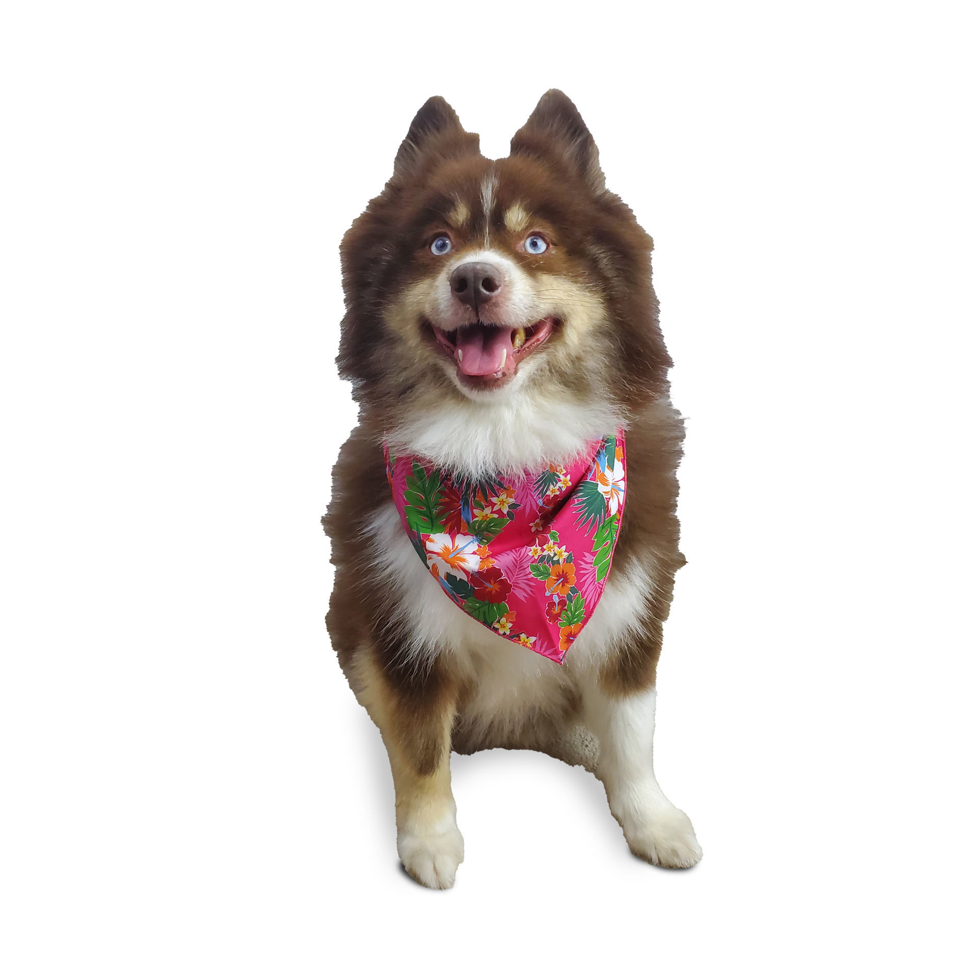 Picture of One Sided Bandana - Hawaiian Tied Bandana (Pink)