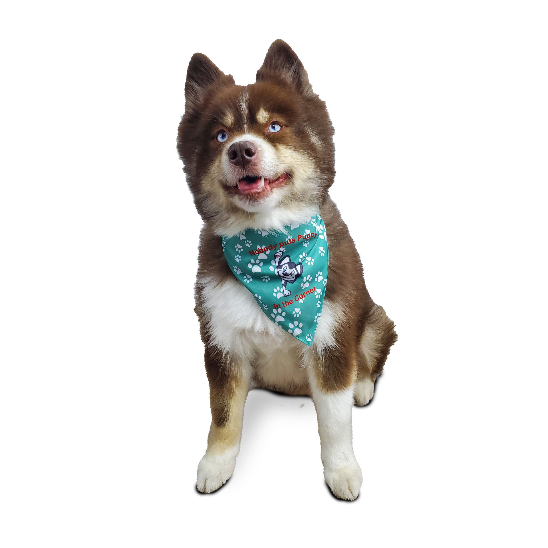 Picture of Two Sided Bandana - Nobody puts Puppy in the Corner