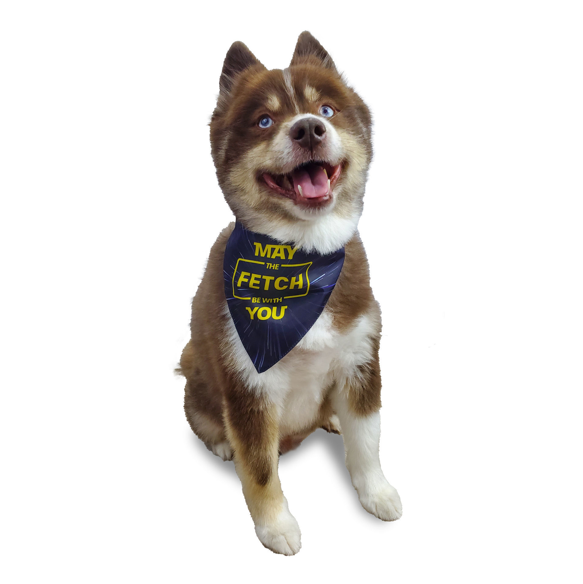 Picture of Two Sided Bandana - May the Fetch be with You