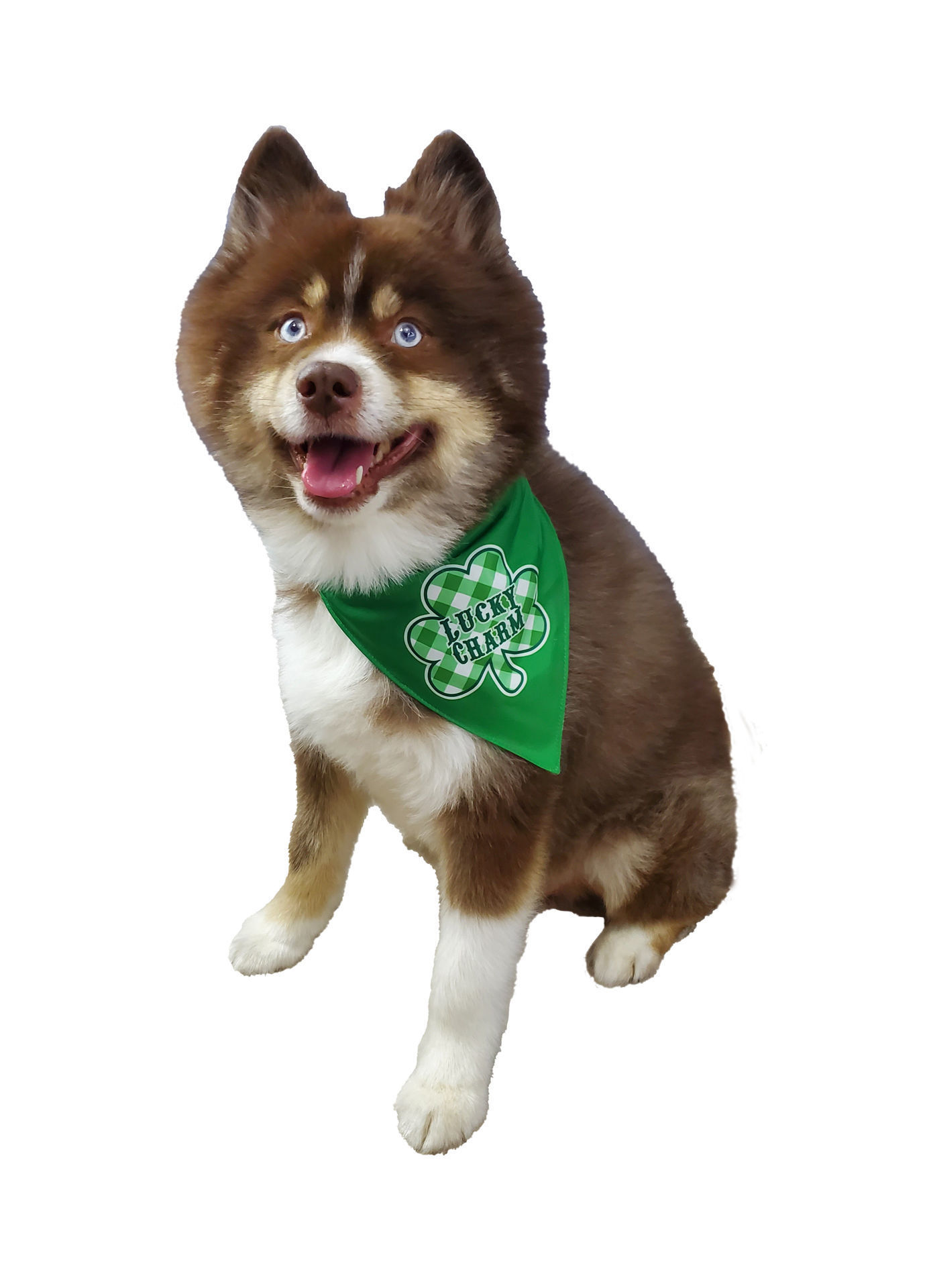 Picture of Two Sided Bandana - Shamrock