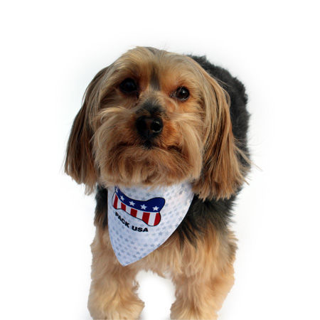 Picture of Two Sided Bandana - USA