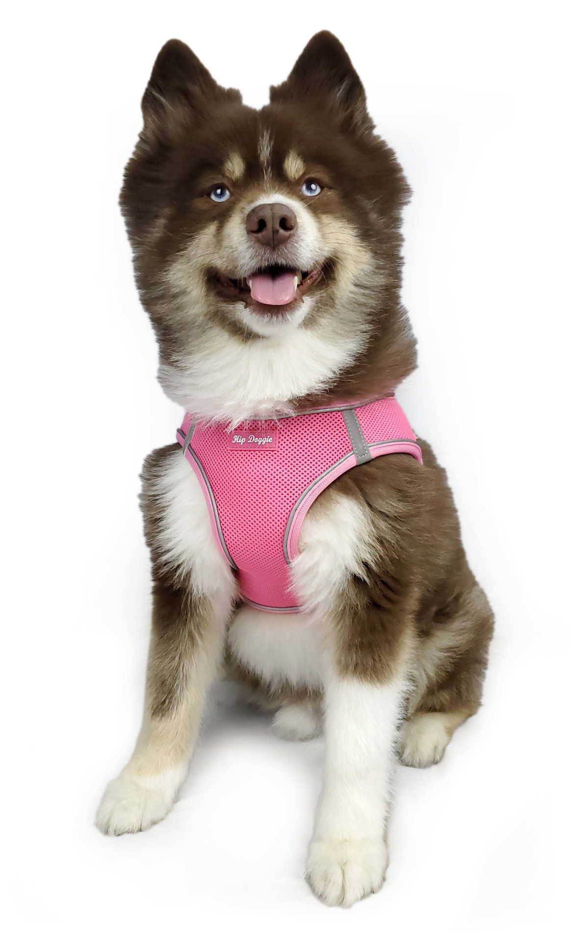 Picture of EZ Step-In Harness Vest - Pink - Old Header