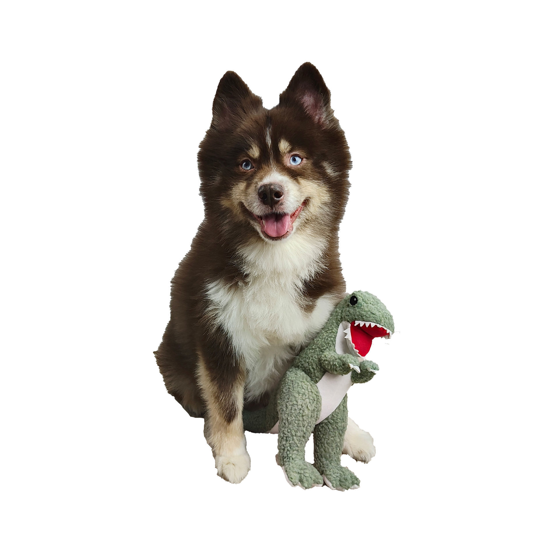Picture of Fleece Toy - T-Rex